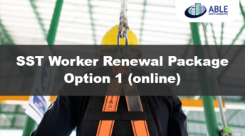 SST Worker Renewal Package - option 1